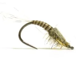 Flyfishing Masters Baetis Quill Nymf - Grå