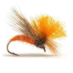 Flyfishing Masters Brankos Fish Find Caddis