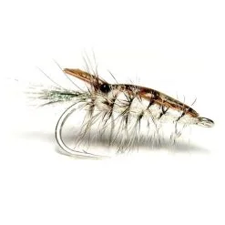 Brown And Pearl Featherback Shrimp