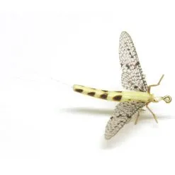 Vania Flies Danica Extended Body Spent