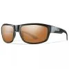 SMITH OPTICS Dover Matte Black / Polar Bronze Mirror -Flugor säljbutik dover black cp polar bronzemiirror