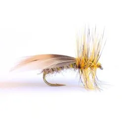 Flyfishing Masters Europea 12