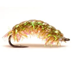 RPs UV Estaz Märla Olive