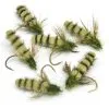 Flyfishing Masters Caddis Foam Pupa - Olive -Flugor säljbutik foampuppa olive