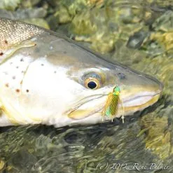 RPs Foam Stone -Flugor säljbutik foamstone img.jpg