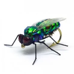 Vania Flies Green House Fly