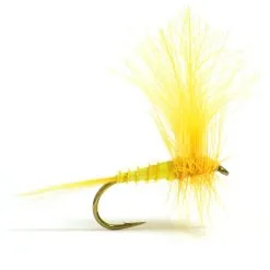 Flyfishing Masters MK's Gul Forsslända Dun