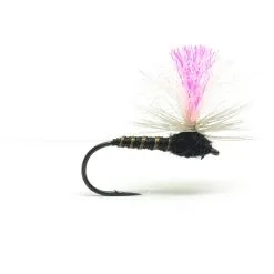 Hi Viz Black Para Biot