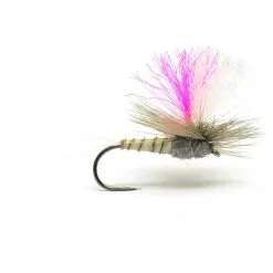 Hi Viz Grey Para Biot