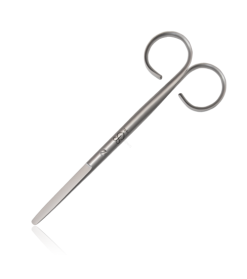 Large Scissors Renomed Straight