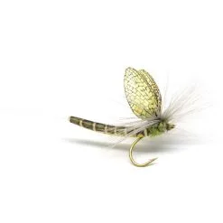 Vania Flies Extended Body Mayfly Lt Olive