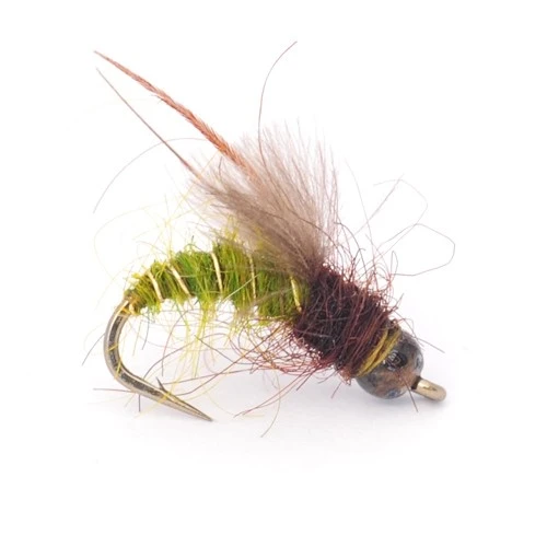 Flyfishing Masters MK Caddispupa Olive 3 Flyfishing Masters MK Caddispupa Olive