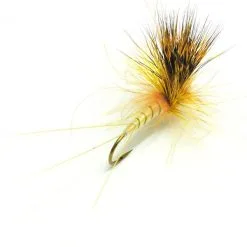 Flyfishing Masters MK Danica Dun