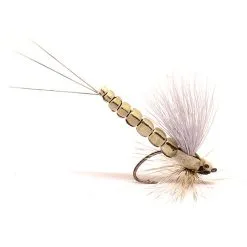 Flyfishing Masters MK Danica Dun Grey/Foam