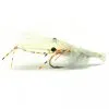 Flyfishing Masters MKs Hoovering Shrimp -Flugor säljbutik mk hoovering shrimp