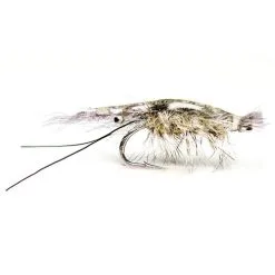 Natural Epoxy Shrimp
