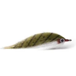 Baitfish Olive White