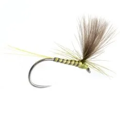 Flyfishing Masters Quill & CDC Parachute Golden Olive