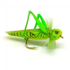 Flyfishing Masters Real Foam Hopper Green