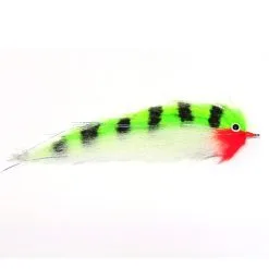 RPs Striped Pike Pearch