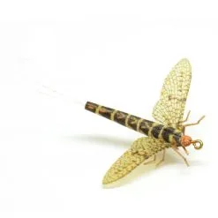 Vania Flies Vulgata Extended Body Spent