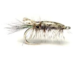 White And Grey Featherback Shrimp